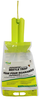 JBTZ-DB12-C TRAP BEETLE DISPLY